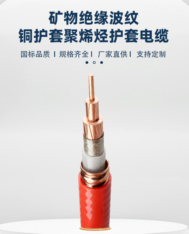 RVS 线：连接世界的重要纽带